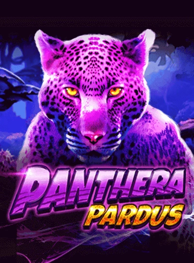 p8my